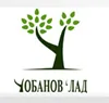 Pečenjara Čobanov Lad logo